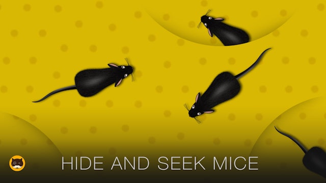 Cat Games Mouse - Hide and Seek Mice