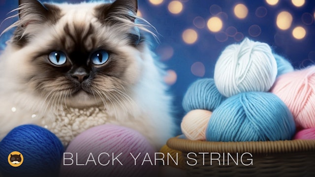CAT GAMES - Black Yarn String. Video for Cats | CAT TV