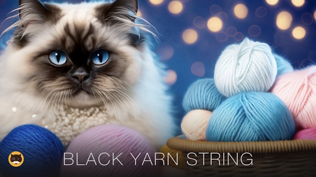CAT GAMES - Black Yarn String. Video for Cats | CAT TV