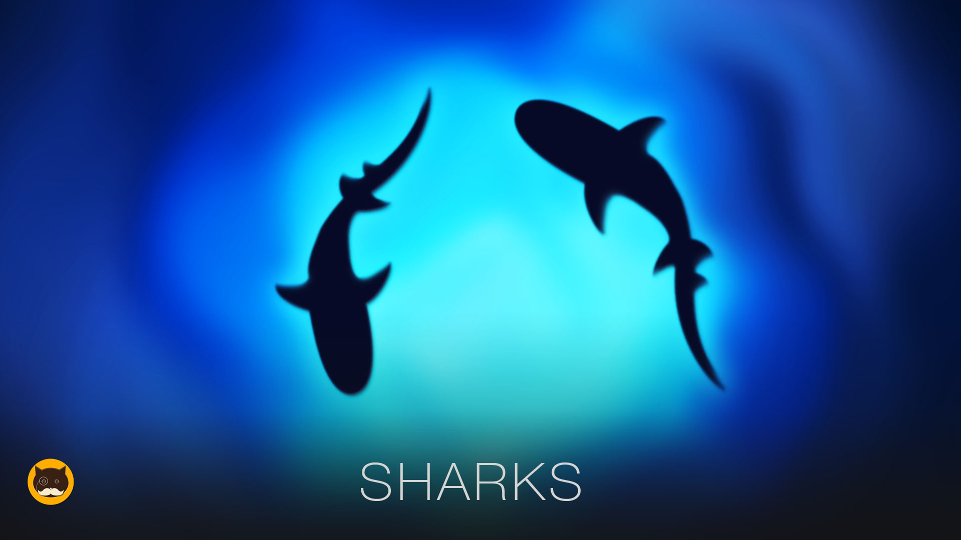 Fish Video for Cats - Sharks