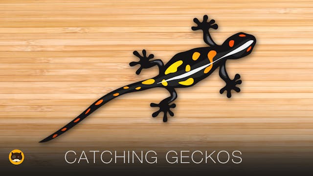 Games for Cats to Play - Catching Geckos
