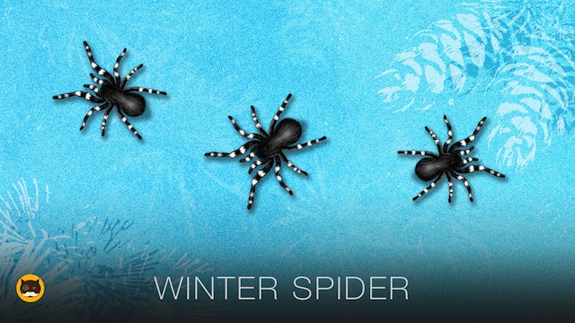 CAT GAMES - Winter Spider. Videos for Cats | CAT & DOG TV