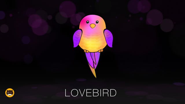 Cat Games - Lovebird. Video for Cats ...