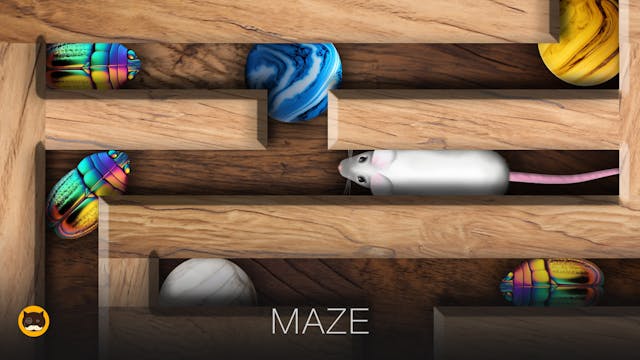 CAT GAMES - Maze. Video for Cats - Mi...