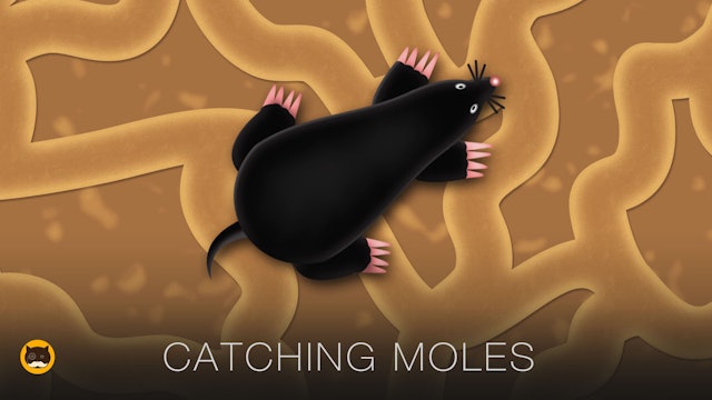 Games for Cats - Catching a Mole in a Tunnel