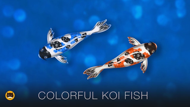 CAT GAMES - Koi Fish. Videos for Cats