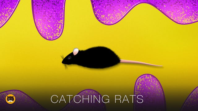 Cat Games - Catching Rats. Mouse Vide...