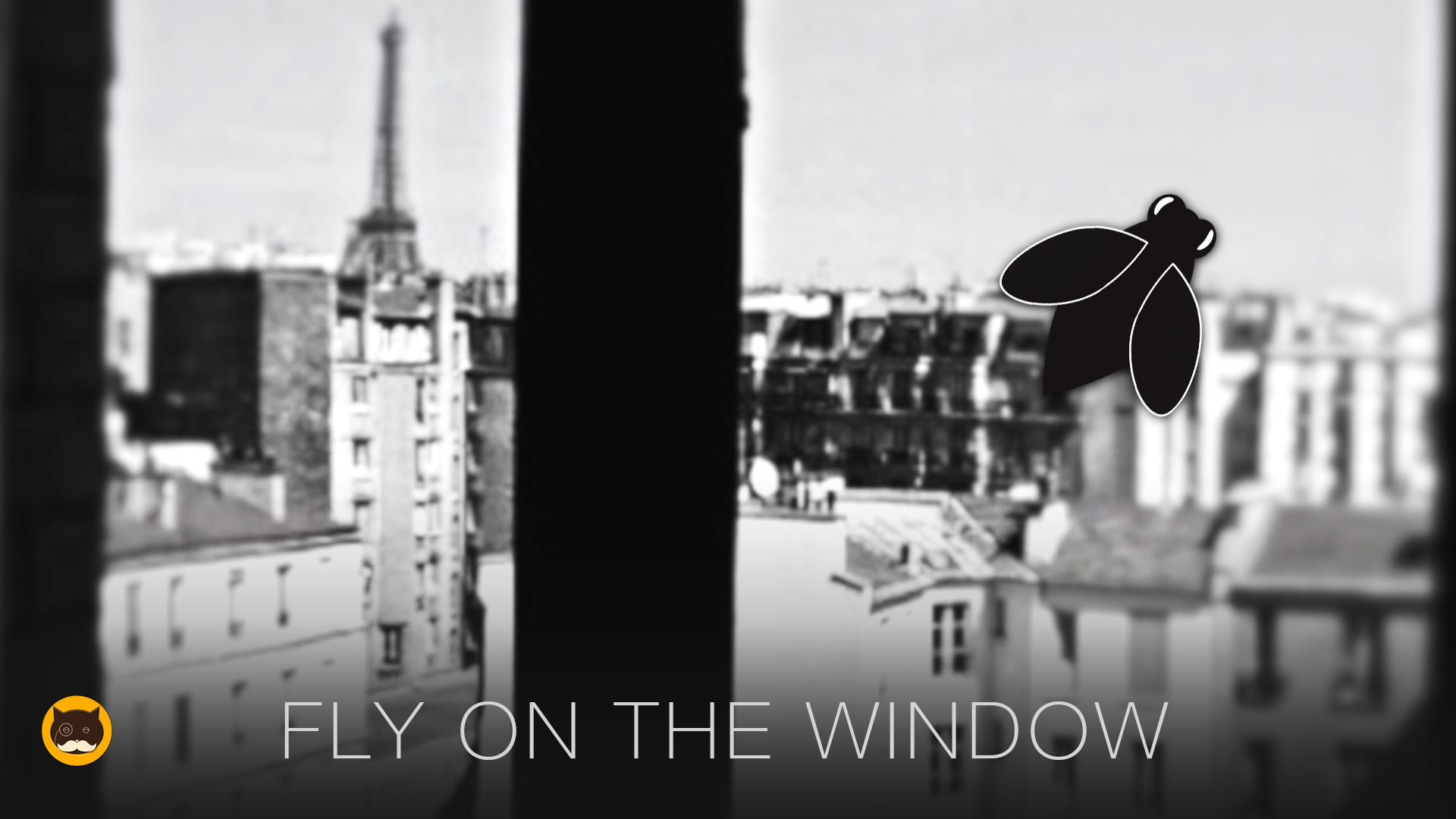 Cat Games - Fly on The Window. Video for Cats