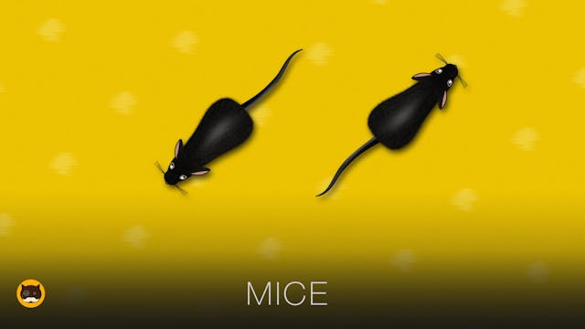 CAT GAMES - Mice. Mouse Video for Cat...