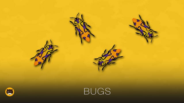 Cat Games - Bugs. Insects Video for Cats