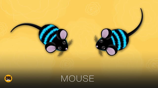 CAT GAMES - Mouse. Mice Video for Cat...