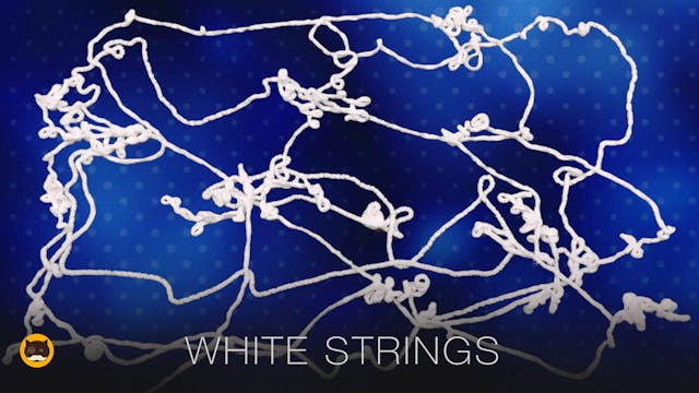 CAT GAMES - White Yarn Strings. Video...