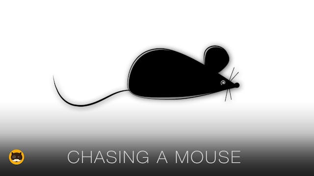Cat TV Mice - Chasing a Mouse