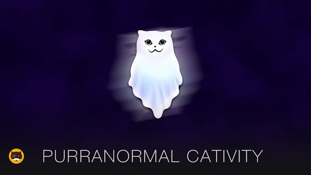 CAT GAMES - Purranormal Cativity. Happy Halloween!