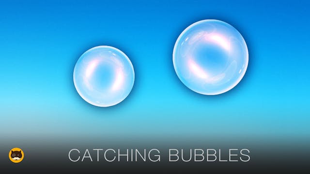 Video Games for Cats - Catching Bubbles