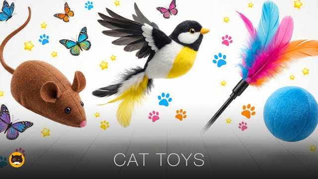 CAT GAMES - CAT TOYS: Mice, Birds, Bu...