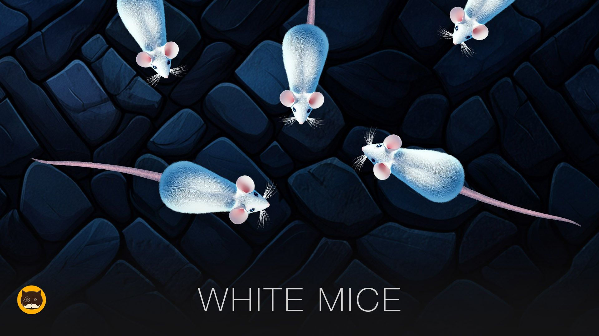 CAT GAMES - White Mice. Mouse Video for Cats | CAT TV