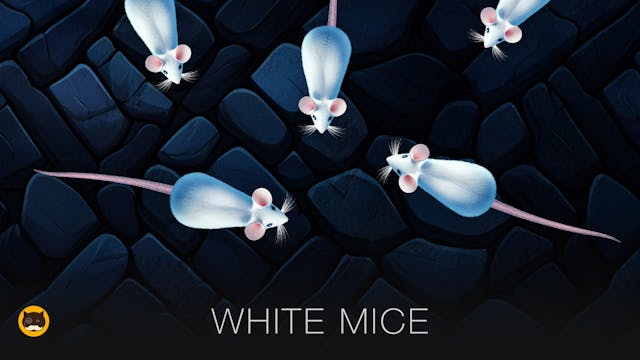 CAT GAMES - White Mice. Mouse Video f...