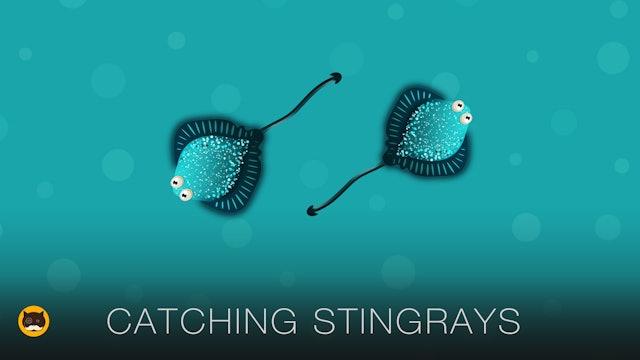 Games for Cats - Stingrays