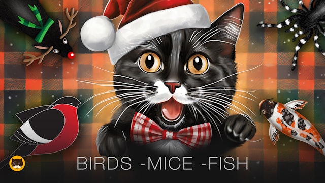 CAT GAMES - Mice, Strings, Birds, Fish, Spiders, Hamsters, Gingerbread Cookies 