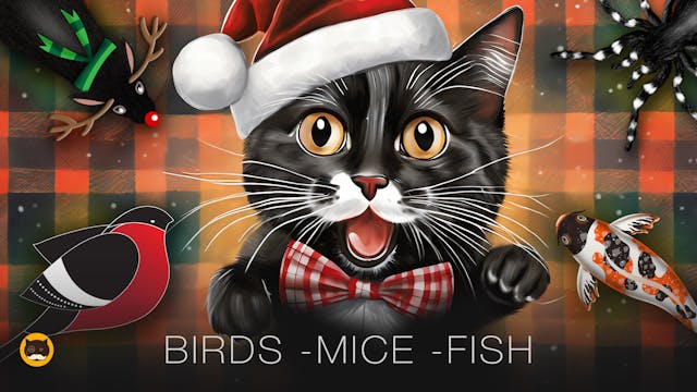 CAT GAMES - Mice, Strings, Birds, Fis...