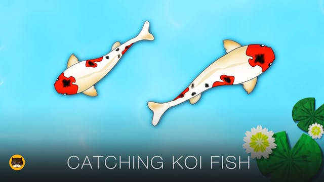 Fish Video for Cats - Koi Fsh