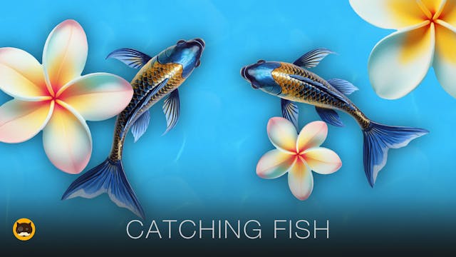 CAT GAMES - Catching Fish. Videos for...