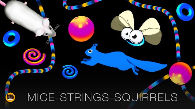 CAT GAMES - Strings, Mice, Flies, Squirrels, 3D Objects | Video for Cats