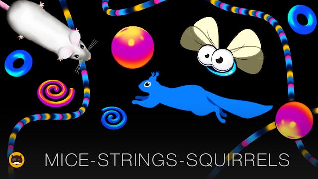 CAT GAMES - Strings, Mice, Flies, Squ...