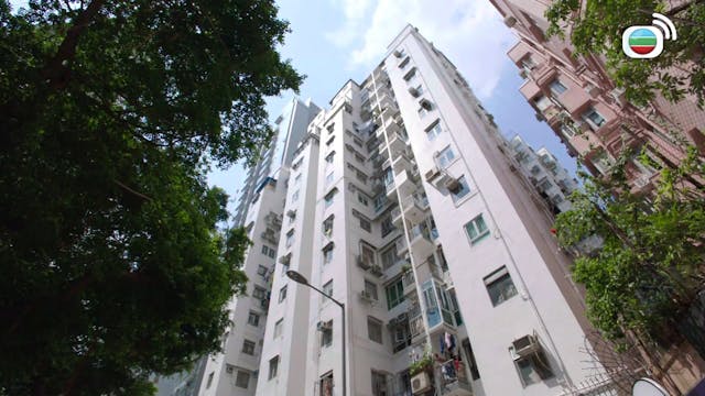 木棘証人第10集 木棘証人 Tvbanywhere North America