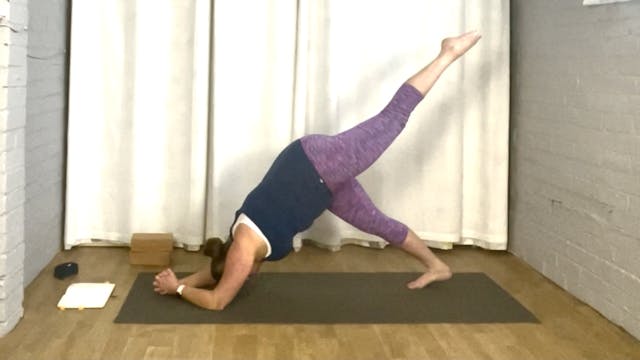 Zoomtastic Flow - Dolphin & Side Body...