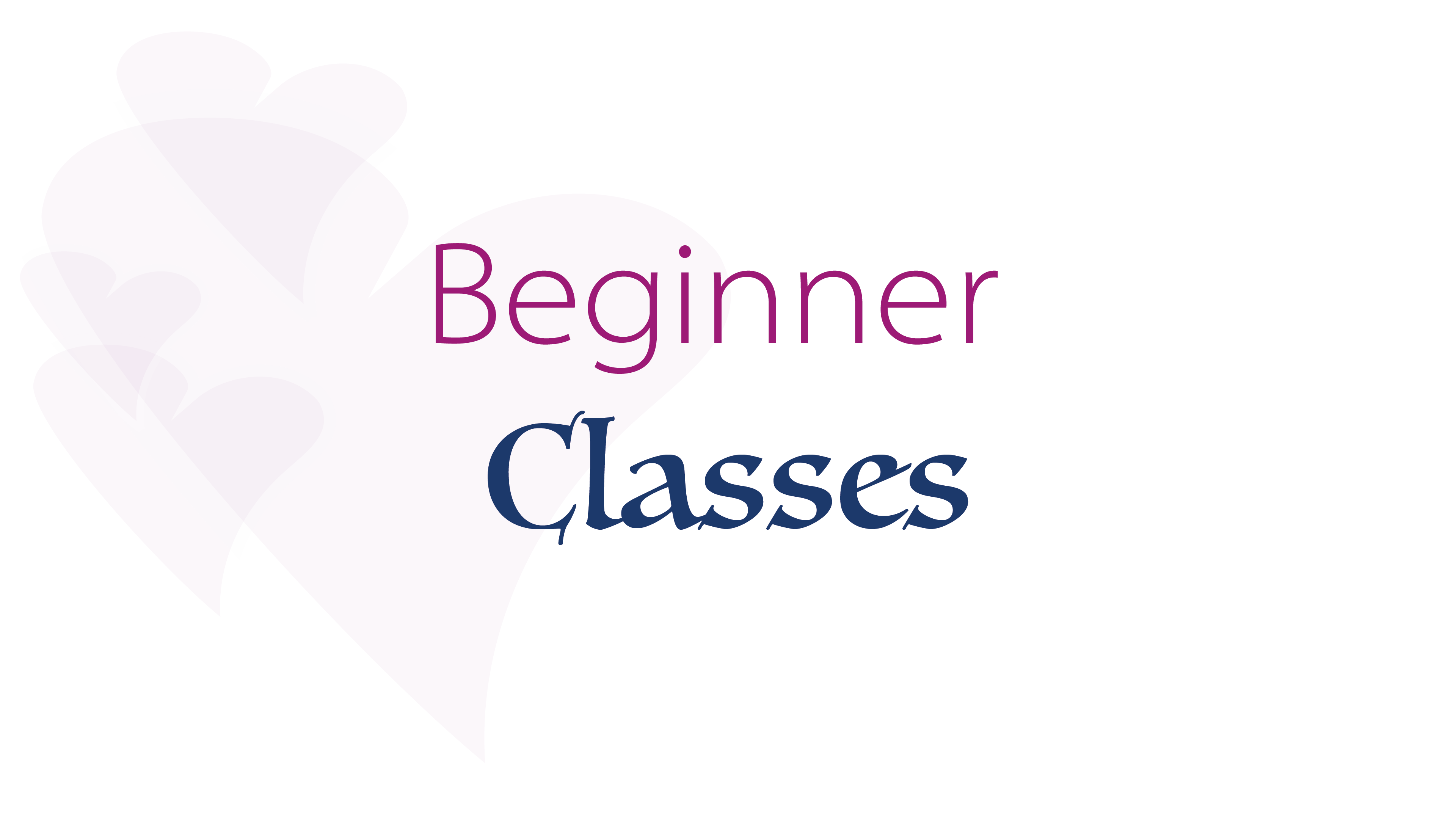 Beginners Classes