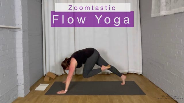 Trailer for Zoomtastic Flow Yoga