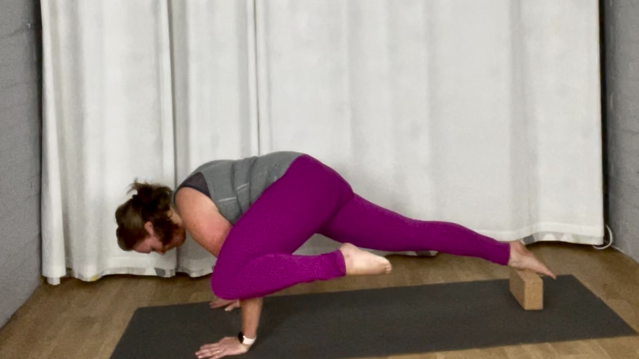 Zoomtastic Flow - Koundinyasana Prep