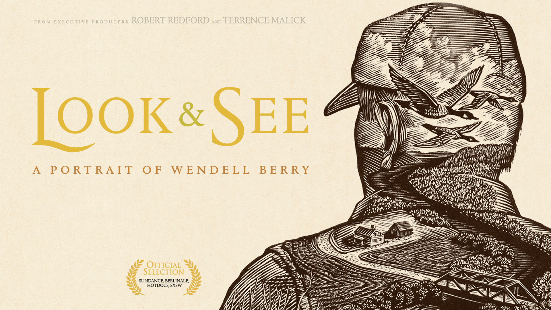 Look & See (Public Library/High School Edition)