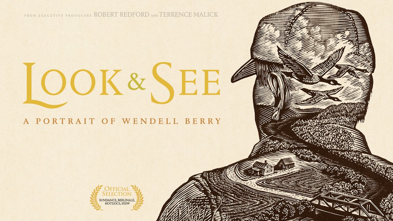 Look & See (Public Library/High School Edition)