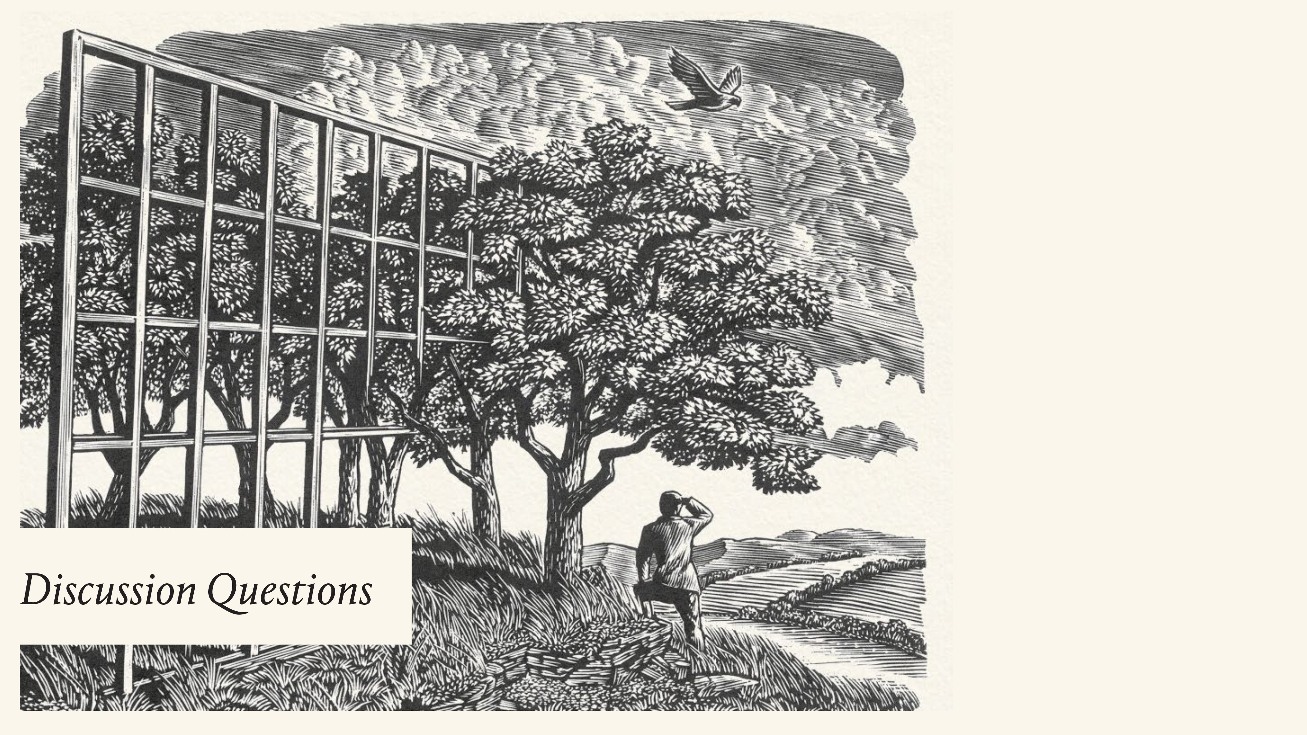 Look & See: A Portrait of Wendell Berry Discussion Guide