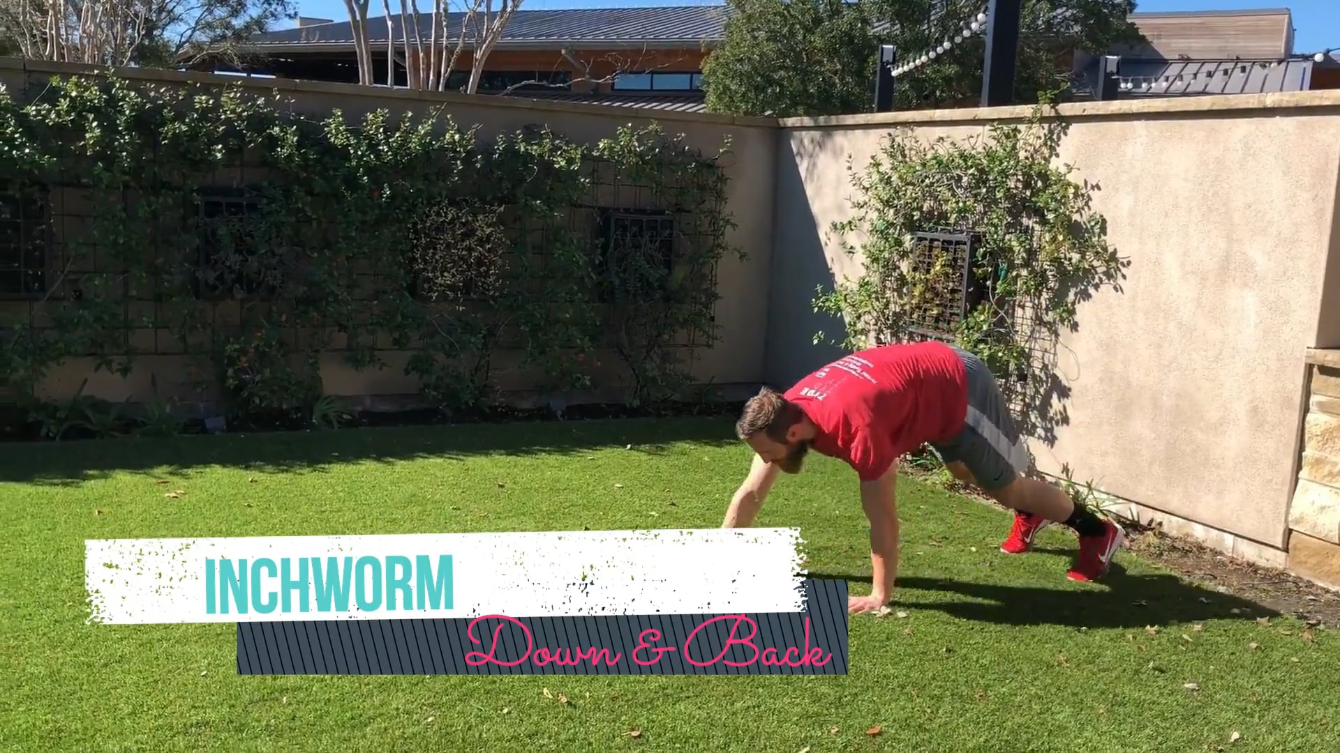 Warm Up Inchworm