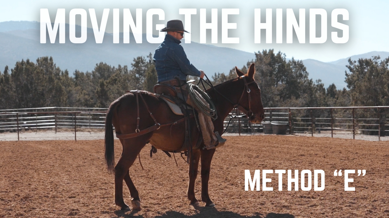 Method "E" Moving The Hinds