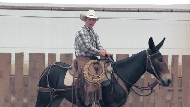 In the Saddle DVD 2 Part 8 "Review an...