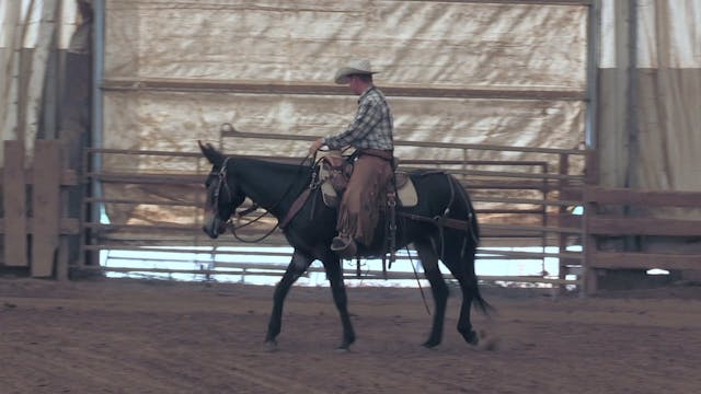 In the Saddle DVD 2 Part 5 "Serpentines"