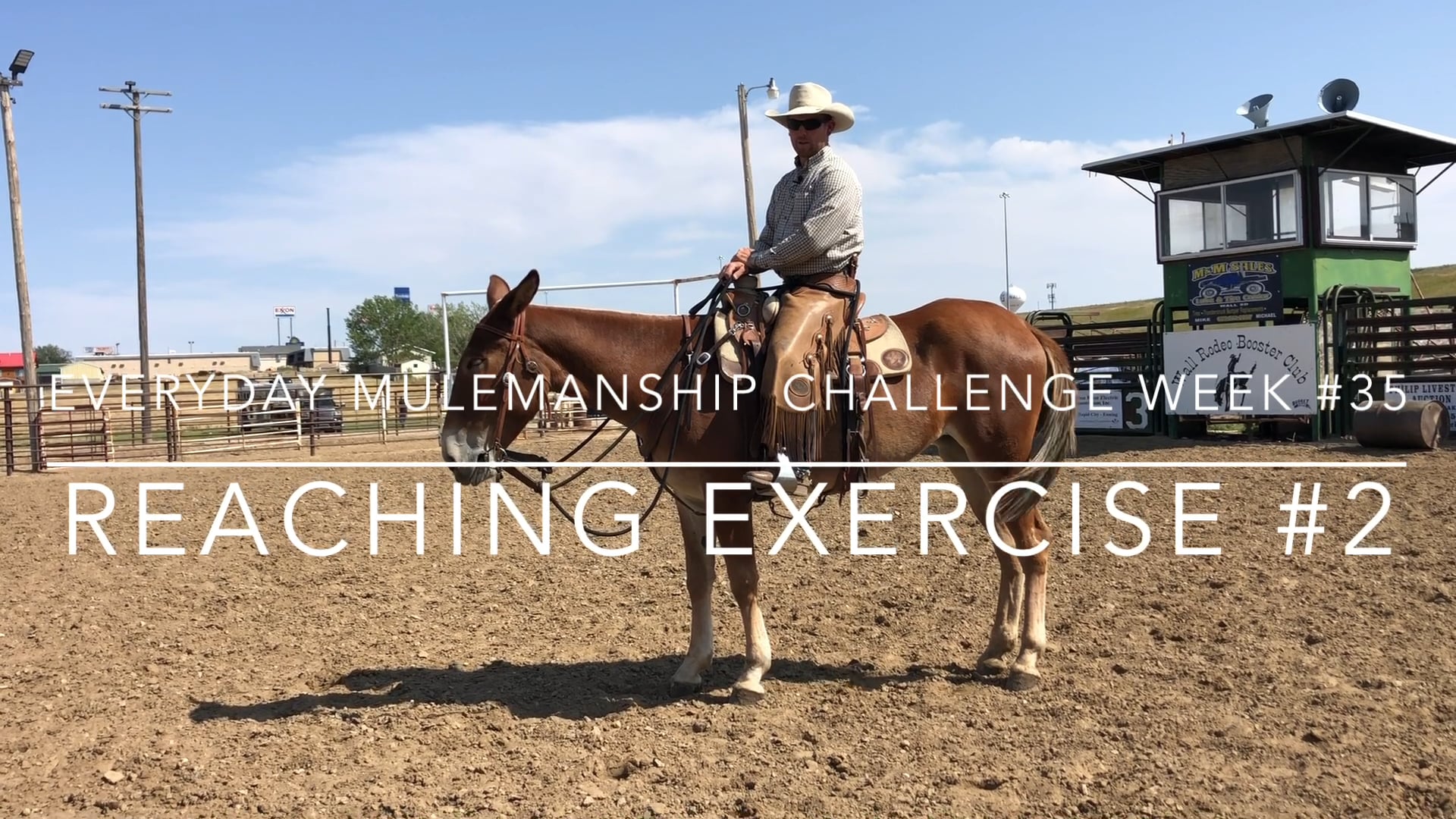 Everyday Mulemanship Challenge Week #35 “Reaching Exercise #2”