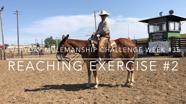 Everyday Mulemanship Challenge Week #...