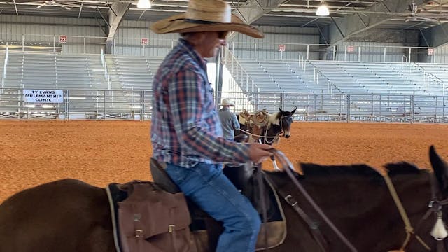 Watch Ty Warm up a Mule before Riding...