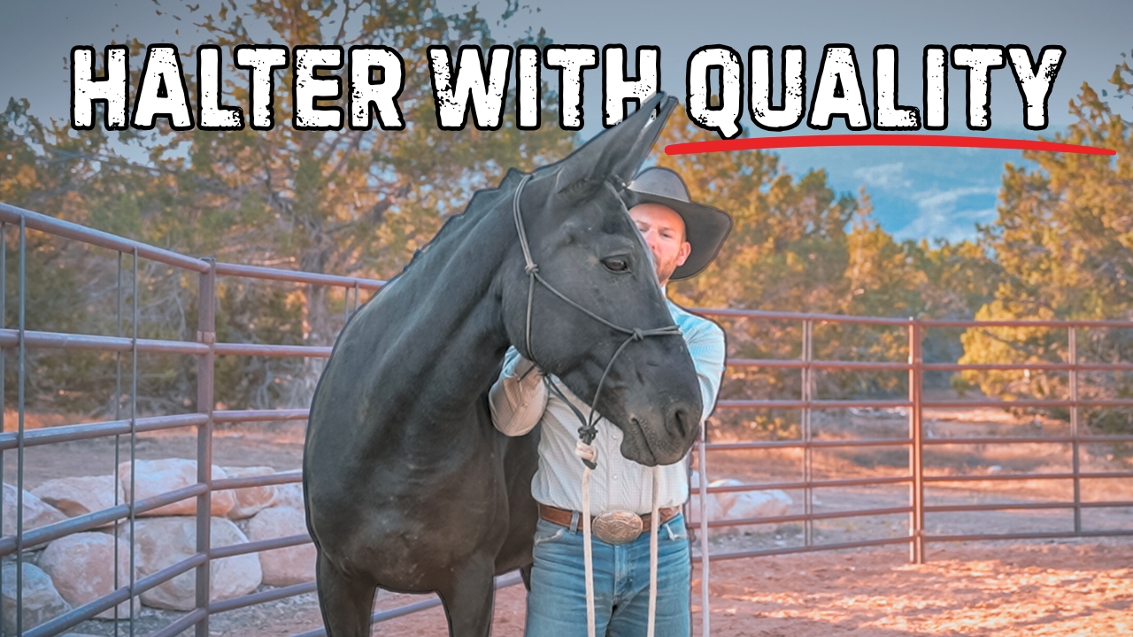 Catching With Quality