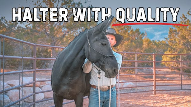 Catching With Quality