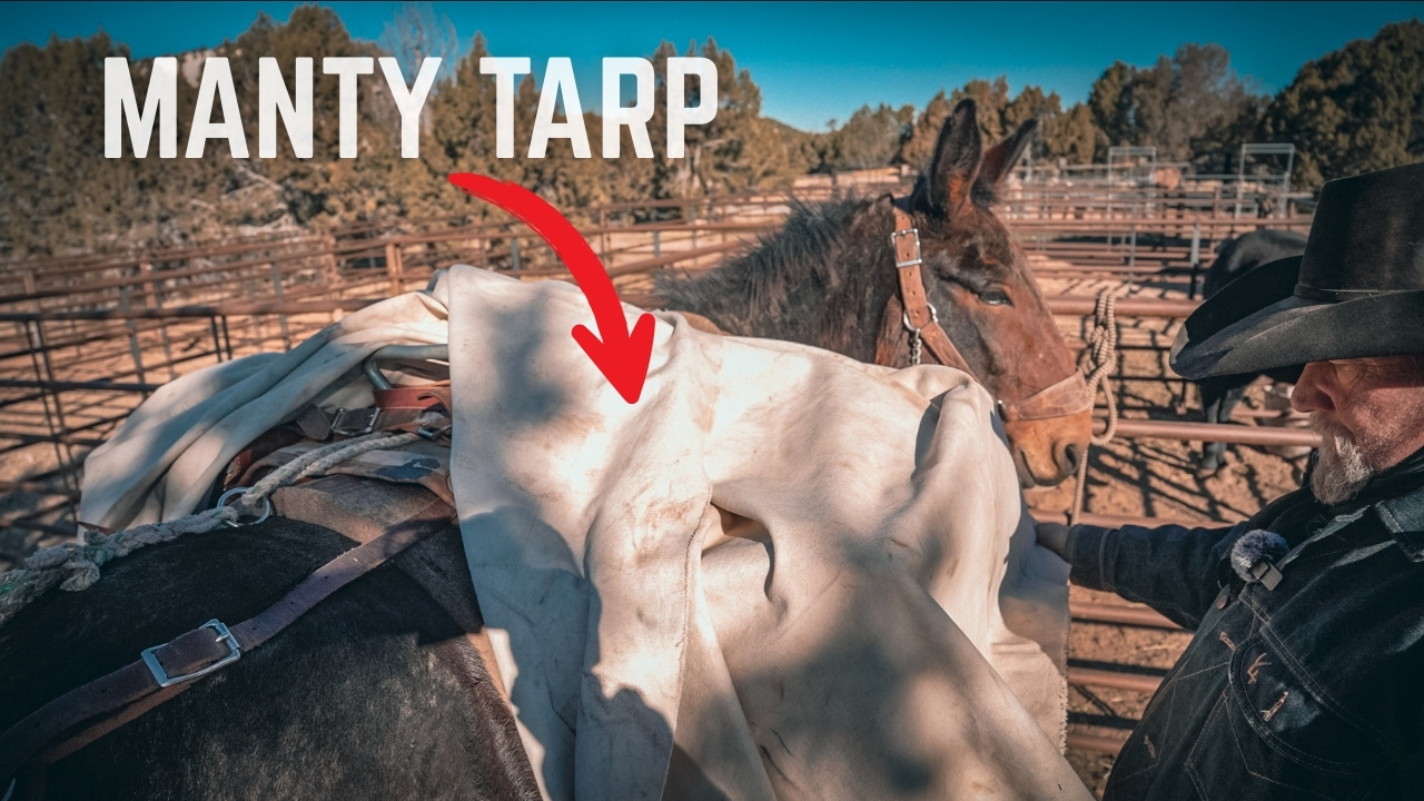 Manties: What They Are And How To Use Them