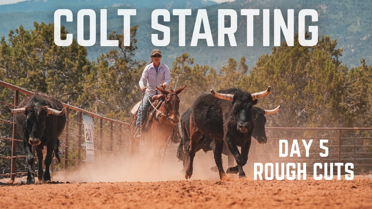 2025 Colt Starting Clinic Day 5 Rough Cuts