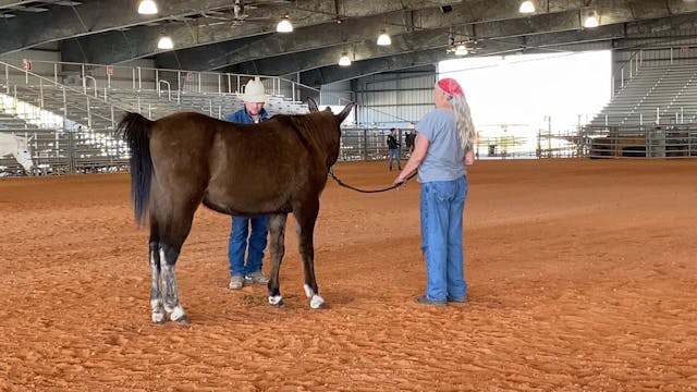 Ty works through the Groundwork Check...