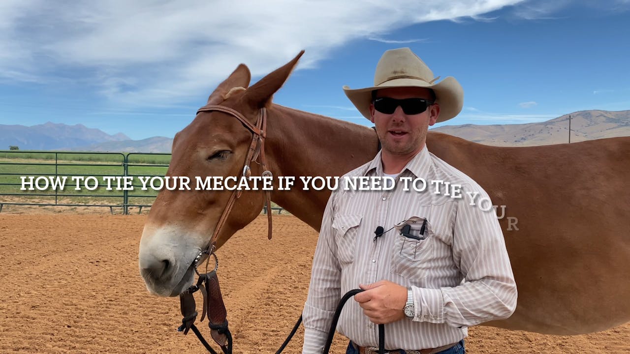 How To Tie The Mecate If You Need To Tie Your Mule Up - Saddles & Tack ...